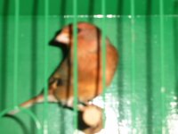 157.jpg