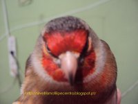 DSC02306.JPG