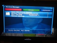 Dream vagueira (3).jpg