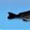 Bacalhaugrande