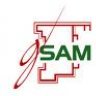 GSAM